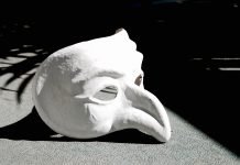 Carnevale in Campania, la classifica dei più belli pulcinella