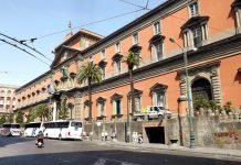 Alla scoperta del MANN: il Museo Archeologico di Napoli museo mann napoli