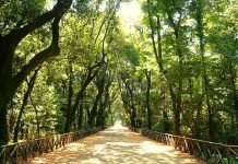 Parco di Capodimonte: il polmone della città parco di capodimonte foto