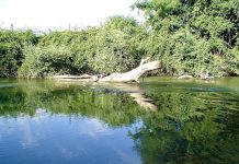 Fiumi della Campania: i più lunghi e famosi fiume volturno foto