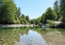 Parco Nazionale del Cilento: tutte le informazioni e curiosità utili parco nazionale del cilento